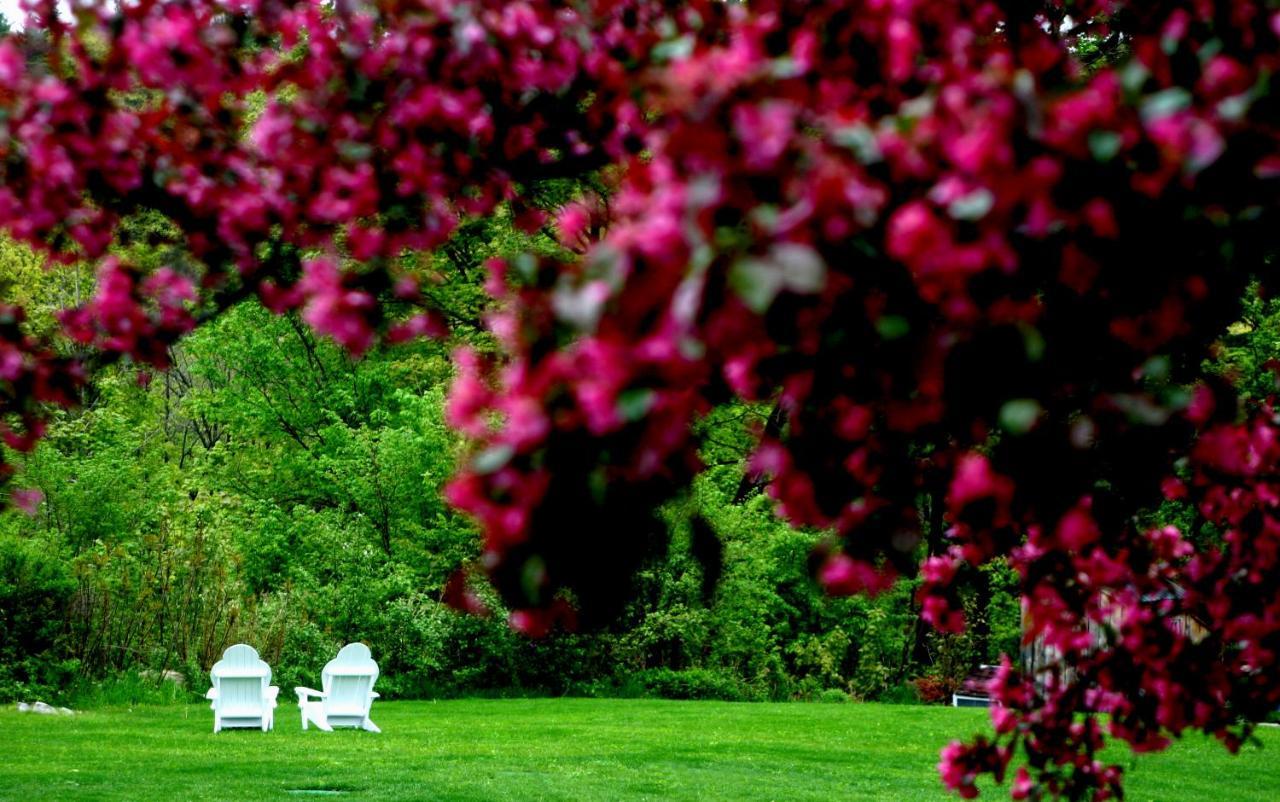 Three Mountain Inn Jamaica ภายนอก รูปภาพ
